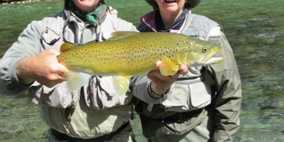 Pauline Dreyer w 5 lber